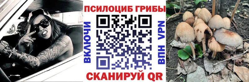 mega рабочий сайт  Ряжск  Псилоцибиновые грибы Cubensis 